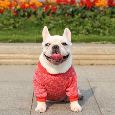 ポリエステル ニットドッグ ジャンパー スウェット 小型犬用 高級服 アクセサリータイプ