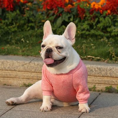 ポリエステル ニットドッグ ジャンパー スウェット 小型犬用 高級服 アクセサリータイプ