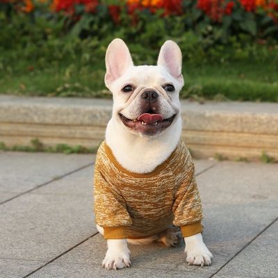 快適で持続可能なペット 犬猫Tシャツ 着物 アクセサリータイプ セーター セーター