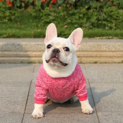 快適で持続可能なペット 犬猫Tシャツ 着物 アクセサリータイプ セーター セーター