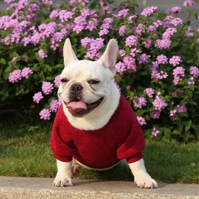 快適で持続可能なペット 犬猫Tシャツ 着物 アクセサリータイプ セーター セーター