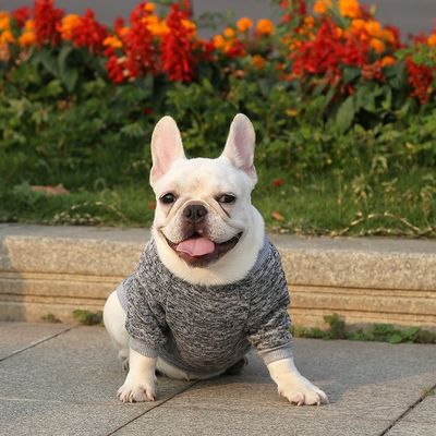 XS-XXL 異なる色のアクセサリー XS-XXL 犬のための現代犬服