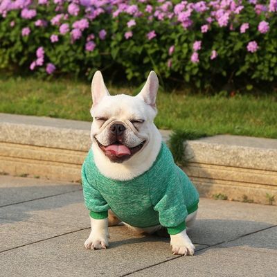 編み物 の 子犬 の 服 固い パターン の ポリエステル 素材 4 足 の 仲間 の ため