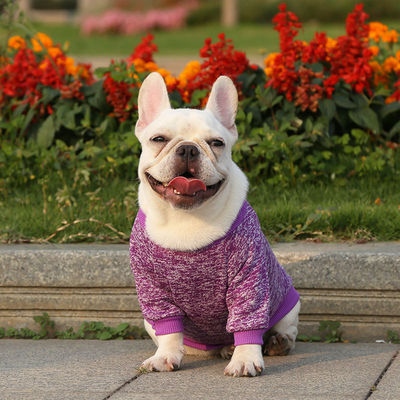 編み物 の 子犬 の 服 固い パターン の ポリエステル 素材 4 足 の 仲間 の ため