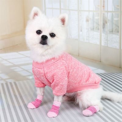 冬季必着のピンク・ブルーの犬靴下で ファッションで快適に過ごせ